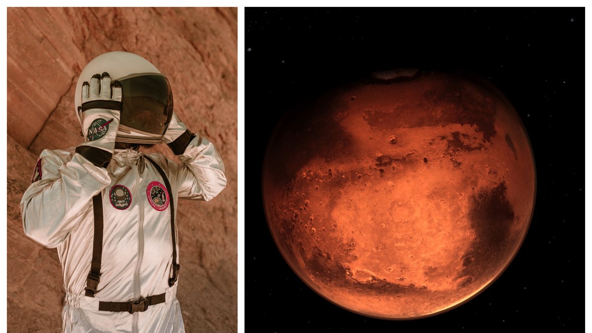 Rymdorganisationen Nasa söker efter frivilliga som vill spendera ett år på en replika av Mars.